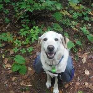 Meet your Posher, Kristina